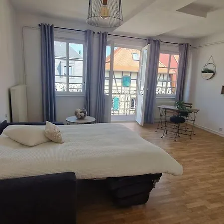 Centre Historique De Saverne, Bel Appartement De 65 M2, Hyper Centre Zone Pietonne, Parking Gratuit A Proximite Exterior foto