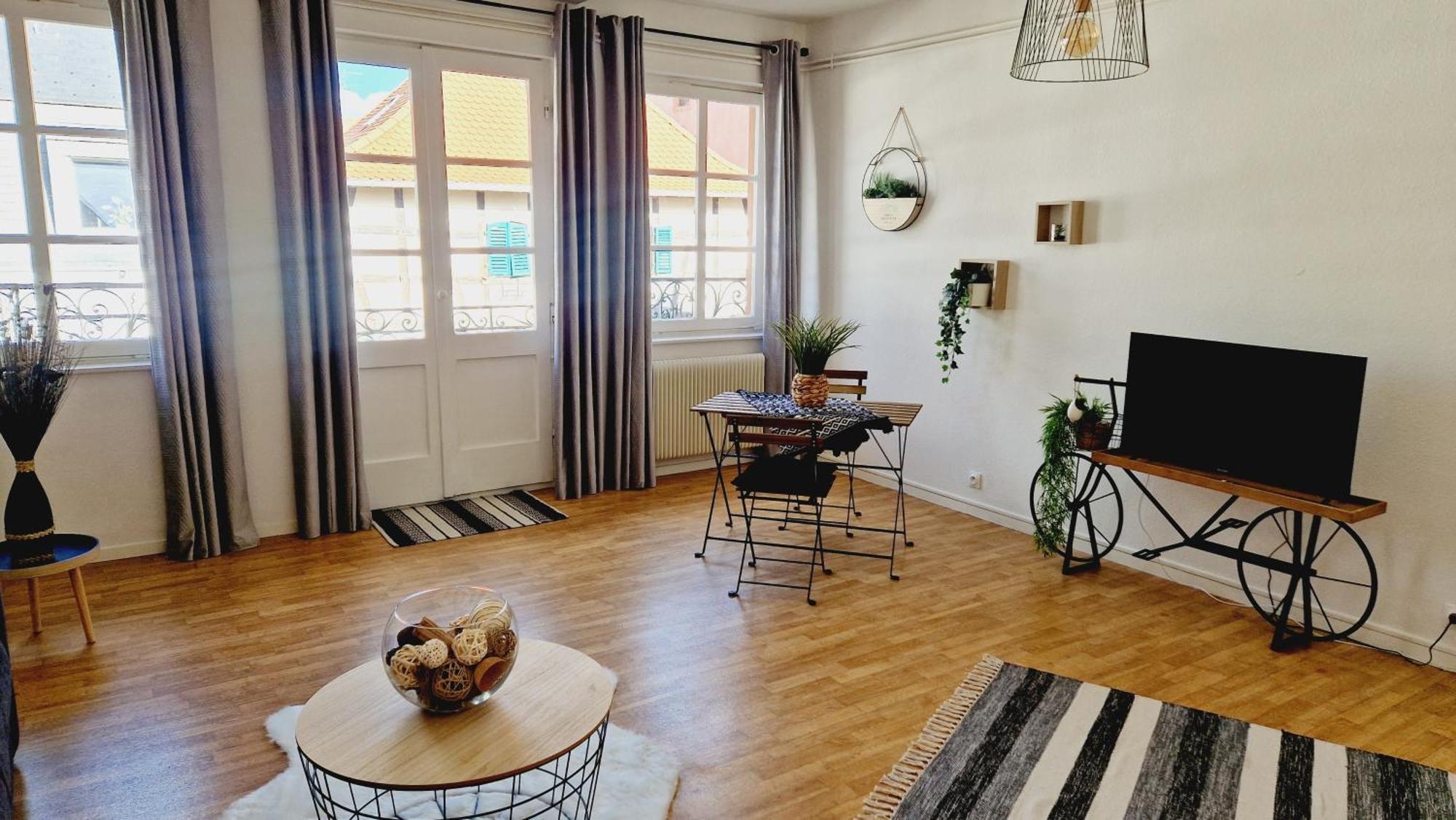 Centre Historique De Saverne, Bel De 65 M2, Hyper Centre Zone Pietonne, Parking Gratuit A Proximite Appartement Saverne